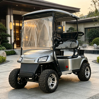 Carro Eléctrico Turístico Personalizado de 2 Plazas para Resort en la Isla del Caribe