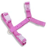 Maßgefertigte Charms Moodies Gepolstertes Plastik Verstellbares Wasserdichtes PVC-Nylon Anti-Zug H-förmiges Hundegeschirr-Set Großhandel Mode