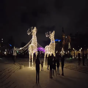 Décoration commerciale extérieure personnalisée Lumière de Noël à motifs 3D Lumière de décoration de centre commercial de rue - Product Image 4