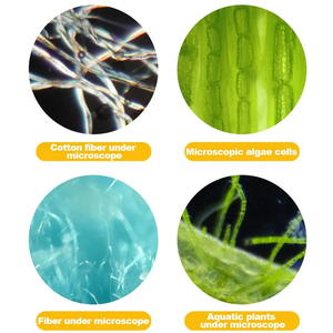 Microscopio de Bolsillo Portátil de Alta Definición de 60-120x, de Plástico ABS, con Luz LED, para Niños Mayores de 5 Años, Experimentos Científicos al Aire Libre - Product Image 5
