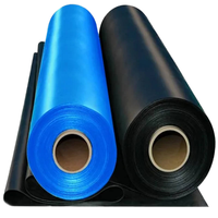 Geomembrana de HDPE para Estanques de Peces, Fabricada en China, Grosor Personalizado para Proyectos de Acuicultura y Vertederos