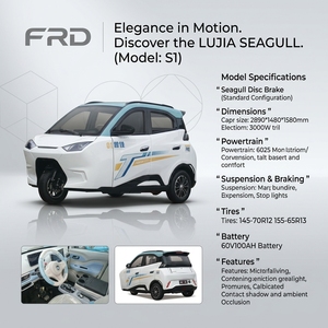 Tricycle <span class=keywords><strong>électrique</strong></span> fermé avec moteur <span class=keywords><strong>de</strong></span> 3000W, adapté aux déplacements sur <span class=keywords><strong>de</strong></span> courtes distances comme <span class=keywords><strong>moyen</strong></span> <span class=keywords><strong>de</strong></span> <span class=keywords><strong>transport</strong></span> - Product Image 5
