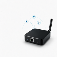 Passerelle BLE V4 pour Localisation Intérieure, Pont IoT BLE & Wi-Fi, iBeacon MQTT pour Récepteur de Données et Appareils Beacon
