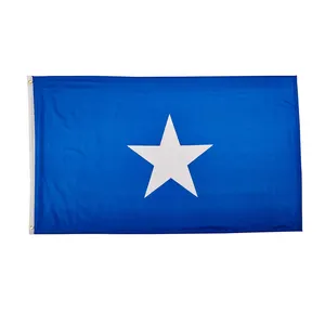 节日假日运动任何尺寸和标志廉价涤纶面料商业国家3x5定制索马里国旗