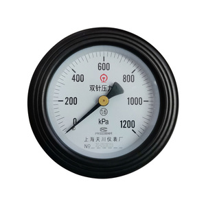 เกจวัดแรงดันน้ำแบบเข็มคู่ YZS-102Z ขนาด 100 มม. แบบอนาล็อก ผลิตที่เซี่ยงไฮ้ สำหรับวัดแรงดันน้ำ - Product Image 4