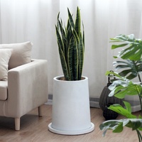 Pot de fleurs conique extra large moderne en ciment et fibre de verre, design décoratif pour jardin extérieur, usage domestique, noir et blanc