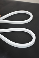 Tube en silicone avec lumière au néon 2024 Solution d'éclairage durable et flexible personnalisable pour la décoration et les accessoires