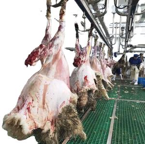 Equipo Completo para Sacrificio de Ovejas Fácil de Operar para <span class=keywords><strong>Talleres</strong></span> de Pequeña Escala y Familiares - Product Image 1