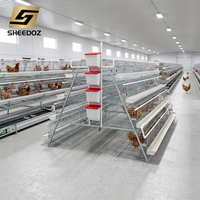 Équipement d'élevage avicole : Cages à poules pondeuses à étages, cages de type A pour poules pondeuses, équipement de batterie d'élevage