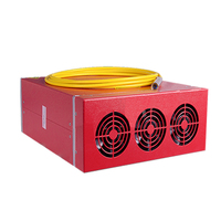 Fuente de Láser de Fibra Raycus MAX JPT, Fuente de Láser de Fibra JPT20W 30W 50W 100W para Máquina de Marcado Láser