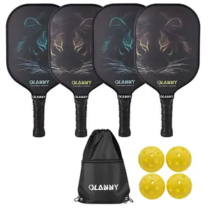 Profissional leve favo de mel Grafite carbono pickleball raquete conjunto de 2 Pickleball Racquet 4 Pickleball Balls Padle