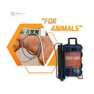 Máquina de Terapia Magnética para Humanos y Animales, Bucle Pemf 24700 Gauss, Alivio del Dolor, Mejora la Recuperación - Product Image 1