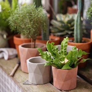 Nuovo design succulento <span class=keywords><strong>vaso</strong></span> <span class=keywords><strong>di</strong></span> <span class=keywords><strong>fiori</strong></span> in cemento con un design geometrico semplice per piante verdi - Product Image 1