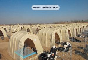 Nieuwe Conditie Koe Respiratoire Hartslag Hittestress Monitor Contactloze Foetale Koeien Eiland Gezondheidsmonitoring 1 Jaar Garantie - Product Image 6