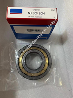 Harga Nego NU309 NUP309 RN309 Bantalan Eksentrik N NF NUP NJ NU 309 E-TVP2 Bantalan Rol Silinder RN309M RN 309 Bantalan Rol