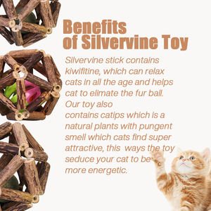 100% naturale <span class=keywords><strong>Matatabi</strong></span> bastoncini di Silvervine per la pulizia dei denti giocattolo per la masticazione dentale Silvervine bastoncini per gatti giocattolo - Product Image 5