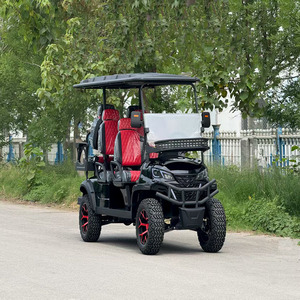 Street 4 Seater Gasoline Golf Cart Gas Powered Off Road Buggy Car Golf Car Usa - Product Image 2
