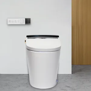 Aodi hochwertige einteilige intelligente Keramik WC Toilette einteilige intelligente Toilette
