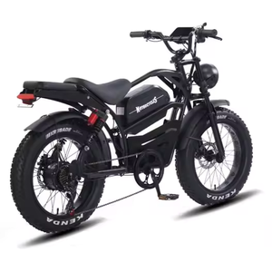 Moteur de moyeu arrière 48V 750W longue durée avec batterie au lithium pour VTT adulte et toutes situations extérieures JYOP-PGHL – Autonomie prolongée - Product Image 4