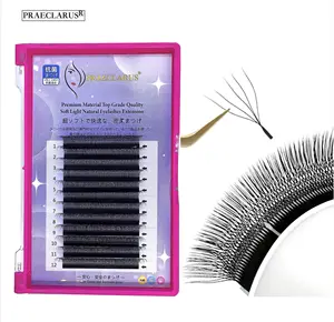 Eyelashes Extension W Lash W Shaped Lashes Natural Mink 5D W Black Hand Made 8mm to 16mm and Mix Size 20 Pcs Cilia 4dd