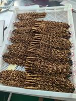 Extensions de cheveux humains bouclés birmans pas chers, 100 % naturels, pour tresses vietnamiennes, effet plume, pour tressage au crochet