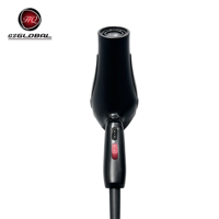 Sèche-cheveux professionnel HQ-8880, durable, 2400W, haute puissance, air chaud et froid, usage en salon