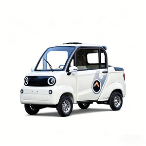 Triciclo Eléctrico Mini para Adultos con Cabina, Triciclo de Carga con Cabina para Pasajeros y Carga, en Oferta - Product Image 1