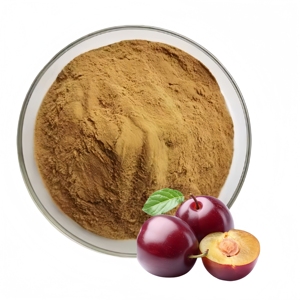 จำหน่ายผงสารสกัดจากพลัมคุณภาพสูง <span class=keywords><strong>Prunus</strong></span> Domestica - Product Image 2