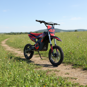 Moto tout-terrain électrique 36V 800W 1000W MIDI pour enfants, styles variés disponibles - Product Image 5