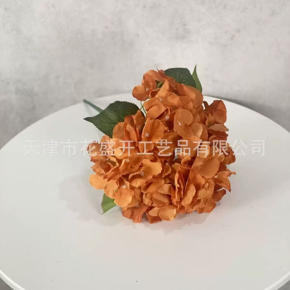 Hortensia à 5 têtes d'un orange profond.