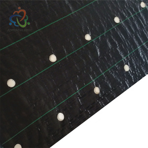 1x1m 1.5x1.5m 2x2M 2x100m 1x100m màu đen chống cỏ vải cỏ dại kiểm soát Mat dệt vải nông nghiệp che phủ mặt đất với lỗ - Product Image 6