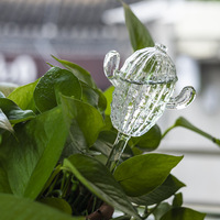 Globes d'arrosage en verre soufflé à la main en forme de cactus pour l'entretien sain des plantes avec des matériaux durables