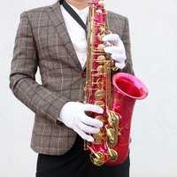Hot Sale SLADE Eb Brass Accesorios Para Blue Red Black Decorative Coloured Alto Saxophone with case