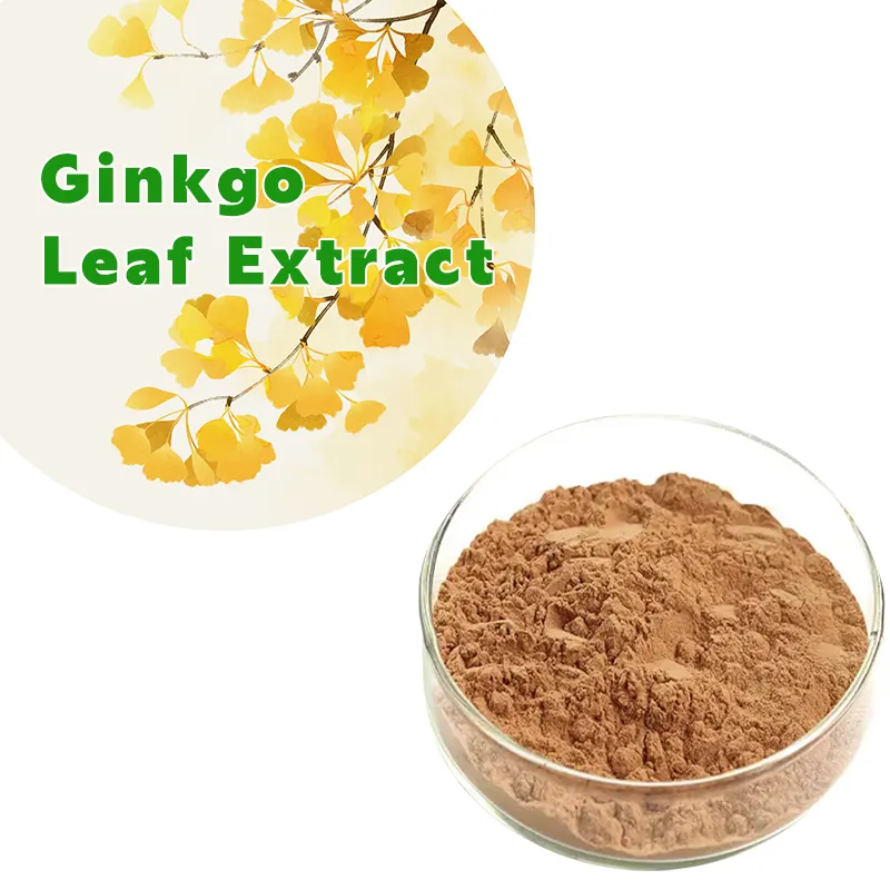 Ginkgolicacid Poeder Ginkgo Biloba Extract Alle Normen Beschikbaar Plantenextract