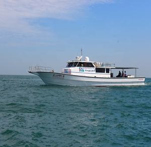 Grandsea 20m Fibra de vidrio Farsea Tuna Barco de atún comercial/Barco de pesca a la <span class=keywords><strong>venta</strong></span> - Product Image 2