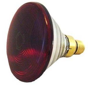 Best Seller <span class=keywords><strong>Philips</strong></span> <span class=keywords><strong>150W</strong></span> PAR 38E Infrarrojo para el cuidado de la salud y el tratamiento del cuidado del cuerpo Material de vidrio de cuarzo 220V Lámpara de calor - Product Image 3
