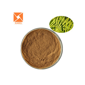 Fornitura di Estratto in Polvere di Frutto di Serenoa Repens Saw Palmetto di Alta Qualità al Miglior Prezzo 10:1 - Product Image 3