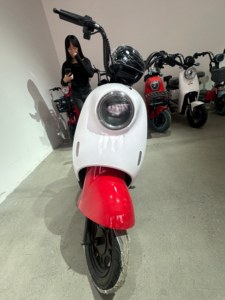 Vélo électrique 48V, vélo de ville électrique, VTT avec batterie 15ah <span class=keywords><strong>KITE</strong></span> - Product Image 6