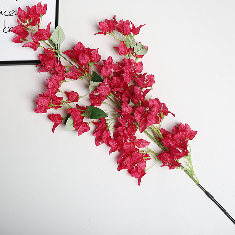 Rose Madder