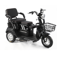 Tricycle électrique à trois roues de haute qualité, durable, de fabrication chinoise, nouveau modèle, 600W, 800W, moteur 1000W, vente en gros