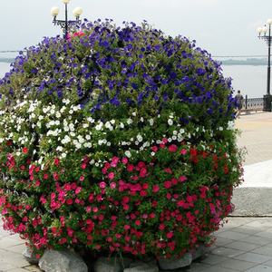 Maceta de jardín Dubai Garden Heart, maceta tipo torre, proveedor de jardinería - Product Image 6