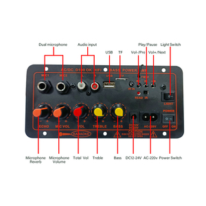 Scheda amplificatore <span class=keywords><strong>Audio</strong></span> D100 100W accessorio <span class=keywords><strong>Video</strong></span> portatile per Home Theater supporta doppio microfono Mono Stereo per altoparlanti 4Ohm - Product Image 5