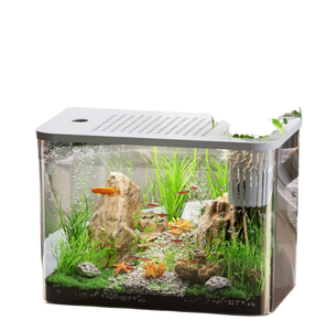 Lightweight PET Modern Square <b>Box</b> Desktop Fish Bowl 1-3 Gallon <b>Small</b> Aquarium for Betta Wide Mouth Easy Cleaning Low Maintenance - Product Image 1
