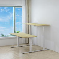 Cadre de bureau debout ergonomique moderne en acier à double moteur, réglable en hauteur, fixation murale, garantie 5 ans, robuste, pour usage domestique ou professionnel