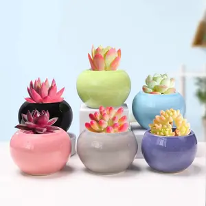 Vaso de flores para plantas, mini vaso de flores, decoração moderna nórdica com logotipo personalizado, plantador redondo e suculento para decoração de jardim doméstico