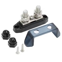 Bloc de distribution d'alimentation automobile à 2 voies M10, en laiton nickelé, DC 48V 250A, avec barre omnibus et couvercle pour VR et bateau