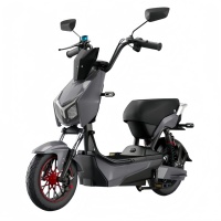 Vélo électrique pliable en gros, moteur de moyeu arrière 60V, transport pour adultes, batterie au plomb-acide, grande vitesse, longue portée
