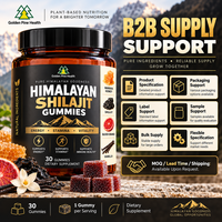 Gummies de Shilajit 30 unités pour adultes, les plus vendues – Complément énergétique naturel OEM pour le bien-être quotidien