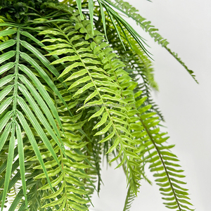 Gran oferta <span class=keywords><strong>de</strong></span> plástico verde plantas tropicales Boston helecho espada helecho cesta colgante para decoración <span class=keywords><strong>de</strong></span> boda - Product Image 5