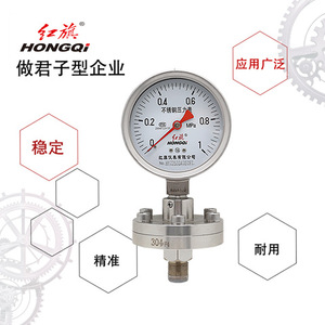 Manomètre à diaphragme Hongqi 100 mm en acier inoxydable YTP-100BF ML résistant à la corrosion et aux hautes températures - Product Image 4